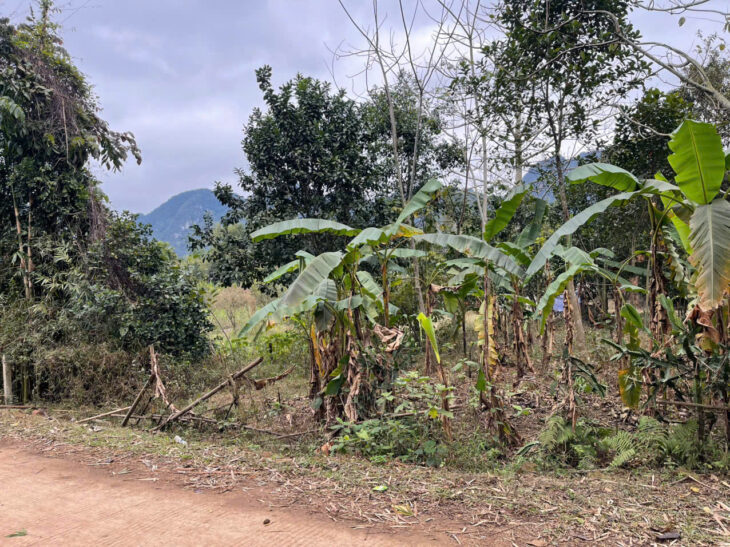 ĐẤT ĐẸP – GIÁ TỐT – Vị Trí Đắc Địa Tại Xóm Giác, Xã Phú Vinh, Huyện Tân Lạc, Tỉnh Hoà Bình