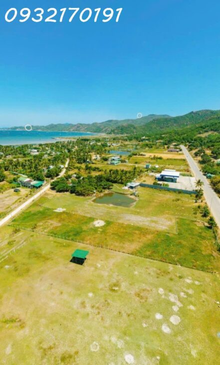 CƠ HỘI ĐẦU TƯ ĐẤT Trồng lúa nước Xã Cam Thành Bắc- Huyện Cam Lâm. – 2794M2 GIÁ 650 TRIỆU – SỔ ĐỎ-