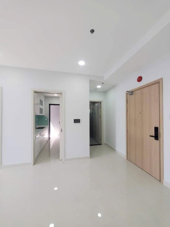 Căn 2PN 70m2 rẻ nhất D-HOMME Hồng Bàng, Quận 6 – cầu vượt cây gõ chỉ 4.6 tỷ (100%) – căn hộ cao cấp