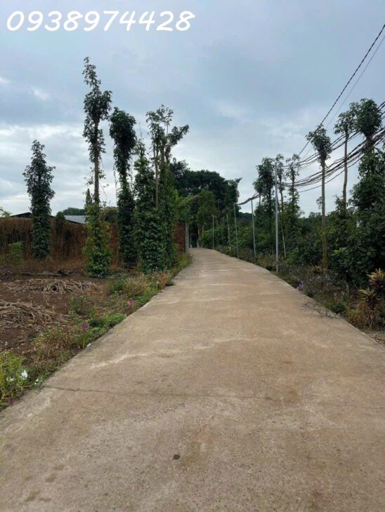 BÁN ĐẤT GÓC 2 MT . XÃ BÀU CẠN . LONG THÀNH . ĐỒNG NAI 0938974428