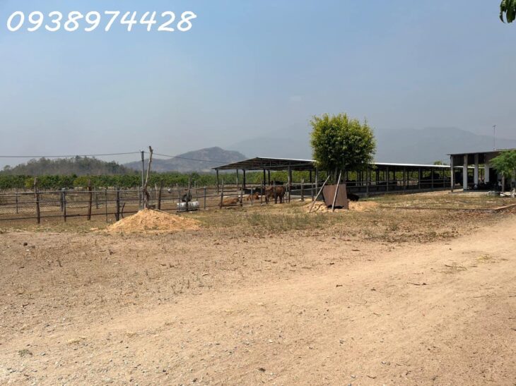 bán 14 ha. Đất nuôi trồng tại xã Quãng Sơn – huyện Ninh Sơn. Ninh Thuận 0938974428