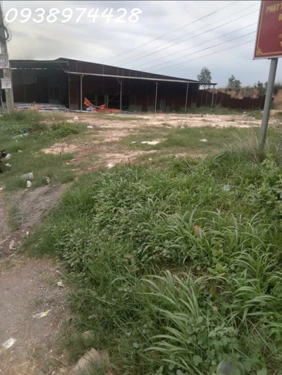 Bán đất mặt tiền QUỐC LỘ 51 . Thuộc Phường Tam Phước. Tp Biên Hòa . 0938974428