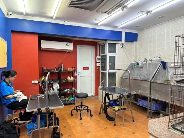 PHÂN KHÚC SIÊU HIẾM-Mặt Phố Kim Mã 43/50m, 6Tầng, MT 4.6m 23.2 Tỷ,Vị trí đẹp