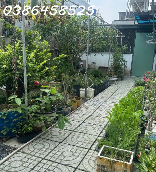 SỞ HỮU NHÀ ĐẤT CHÍNH CHỦ – GIÁ Tốt – Vị Trí Đẹp Tại : Hẻm 115 Hương Lộ 15 Thạnh Phú – Vĩnh Cửu –