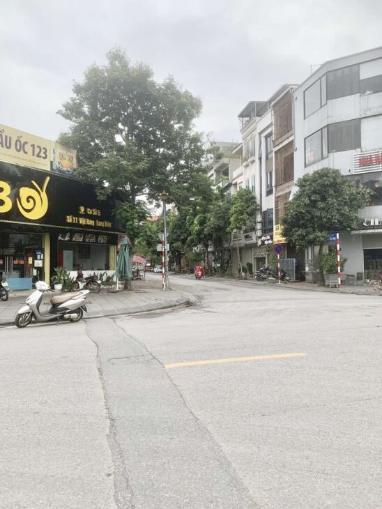 CHÁN NHÀ XÂY SẴN! Bán đất Việt Hưng, gần Vinhome Riverside, ô tô đỗ cửa, 65m2, 8.8 tỷ