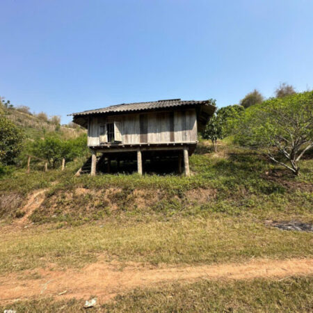 Chính chủ cần sang nhượng gấp 3 héc ta đất trồng Mận, trồng Đào tại Mộc Châu rất phù hợp để làm du