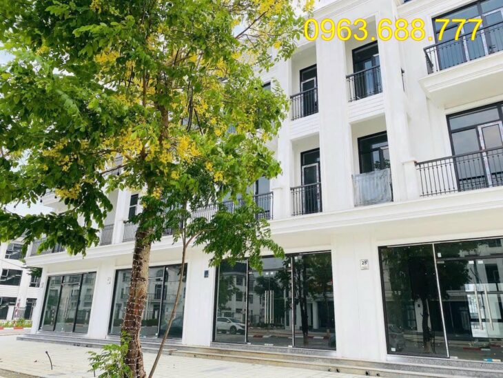 Bán BT,LK HUD Mê Linh, Giá gốc đầu tư,kinh doanh,5x triệu/m