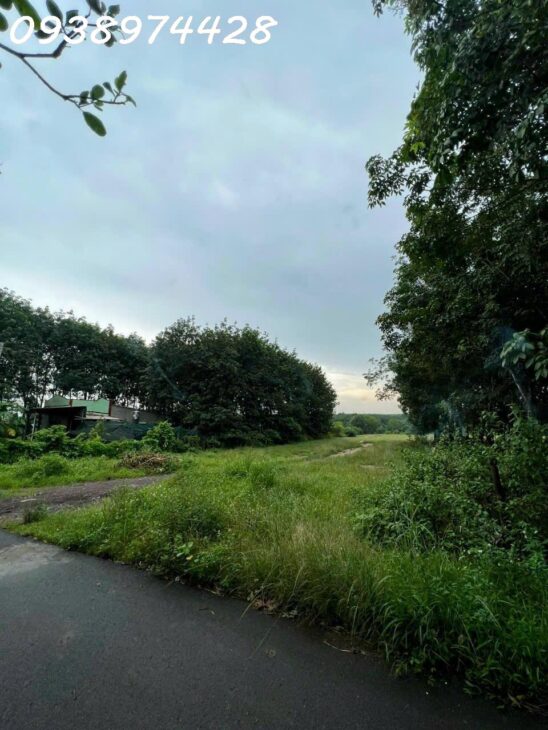BÁN ĐẤT KHO BAI 1,8 ha SIÊU RẺ MẶT TIỀN ĐƯỜNG NHỰA XÃ AN VIỄN . TRẢNG BOM . 0938974428