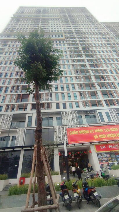 Bán gấp chung cư toà Anland LakeView, DT: 80m2- 2PN, Lê Quang Đạo, Hà Đông. Giá 4.95 tỷ .