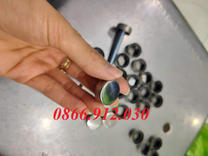 Chụp Ốc Vít Inox Chân Cầu Thang