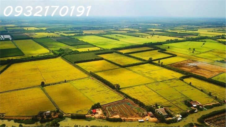 CƠ HỘI ĐẦU TƯ ĐẤT Trồng lúa nước Xã Cam Thành Bắc- Huyện Cam Lâm. – 2794M2 GIÁ 650 TRIỆU – SỔ ĐỎ-