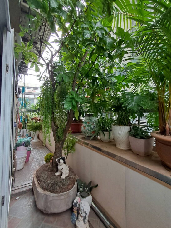 Bán Nhà lô góc mặt phố Văn Cao, Ba Đình, nhà 9 tầng thang máy, kinh doanh siêu mượt, vị trí đắc