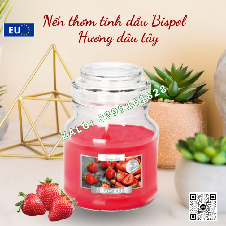 NẾN THƠM TINH DẦU NHẬP KHẨU BISPOL 120g, THƠM PHÒNG DECOR TRANG TRÍ, HỖ TRỢ KHỬ MÙI