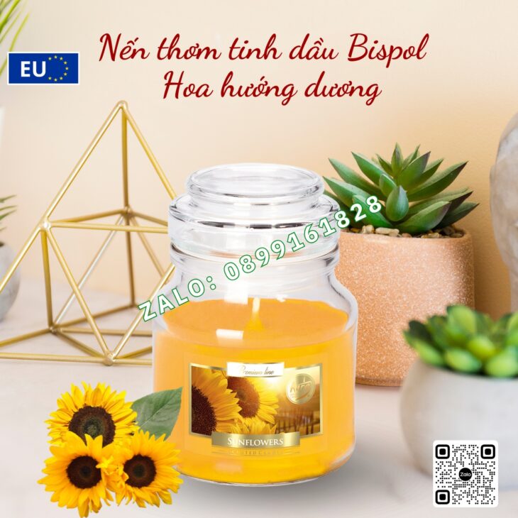 NẾN THƠM TINH DẦU NHẬP KHẨU BISPOL 120g, THƠM PHÒNG DECOR TRANG TRÍ, HỖ TRỢ KHỬ MÙI