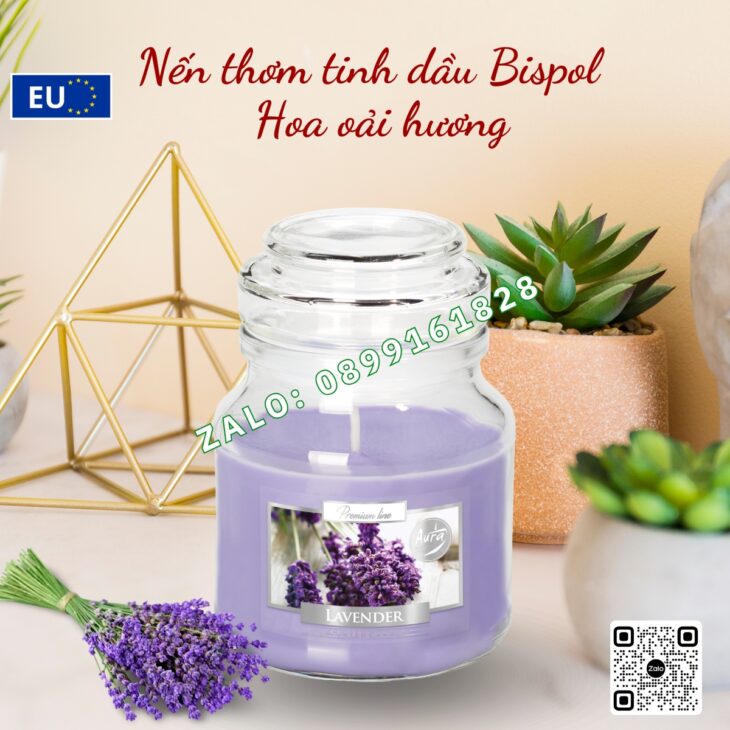 NẾN THƠM TINH DẦU NHẬP KHẨU BISPOL 120g, THƠM PHÒNG DECOR TRANG TRÍ, HỖ TRỢ KHỬ MÙI