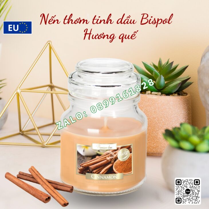 NẾN THƠM TINH DẦU NHẬP KHẨU BISPOL 120g, THƠM PHÒNG DECOR TRANG TRÍ, HỖ TRỢ KHỬ MÙI