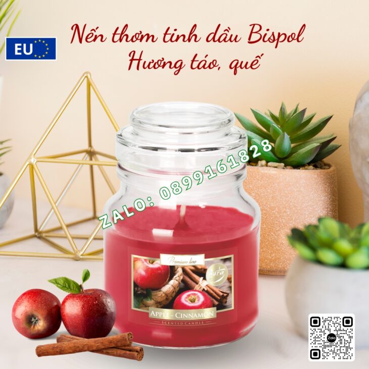 NẾN THƠM TINH DẦU NHẬP KHẨU BISPOL 120g, THƠM PHÒNG DECOR TRANG TRÍ, HỖ TRỢ KHỬ MÙI