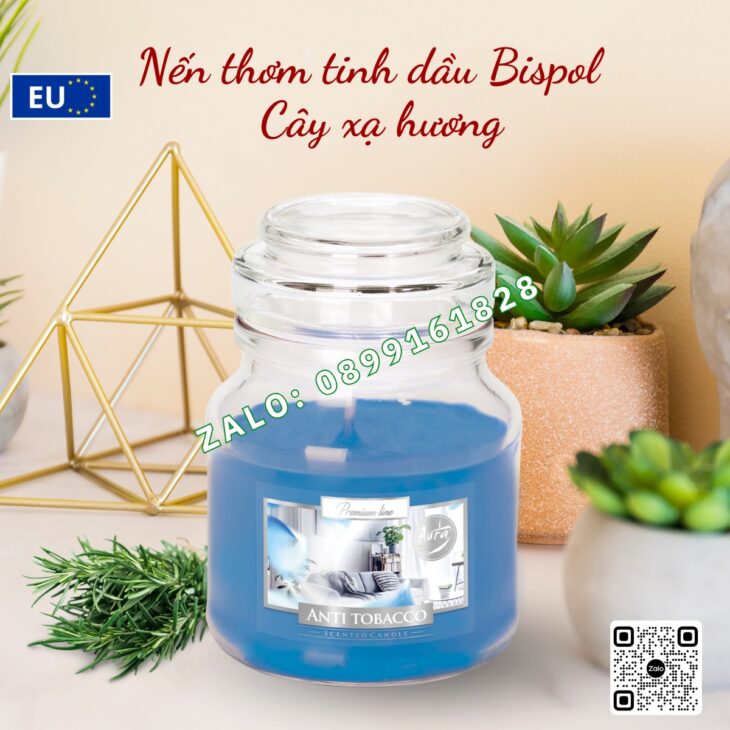 NẾN THƠM TINH DẦU NHẬP KHẨU BISPOL 120g, THƠM PHÒNG DECOR TRANG TRÍ, HỖ TRỢ KHỬ MÙI