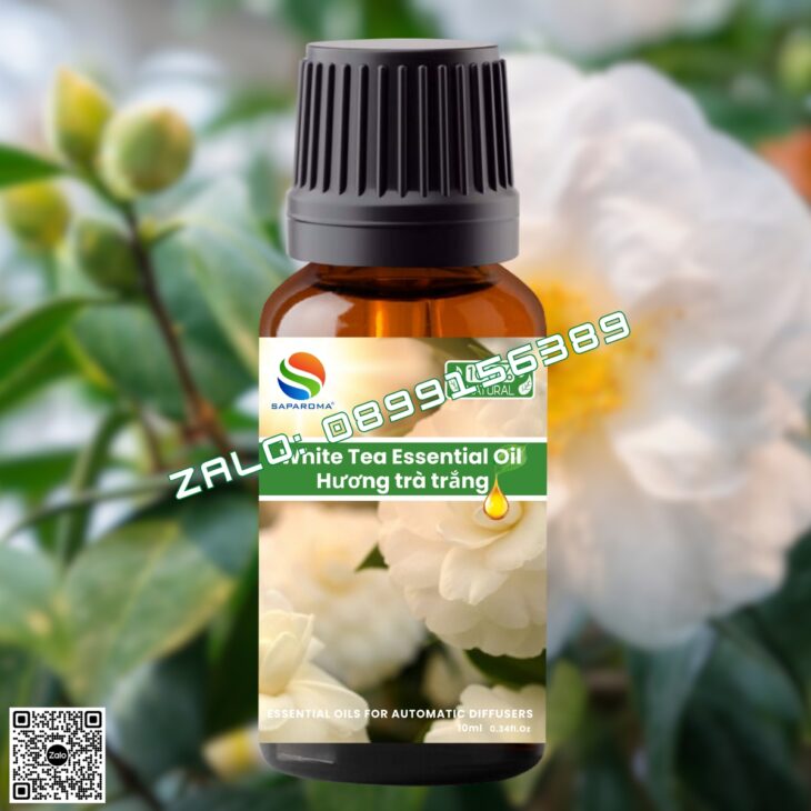 TINH DẦU THƠM PHÒNG SAPAROMA 10ML, TINH DẦU THIÊN NHIÊN, HỖ TRỢ KHỬ MÙI, XUA ĐUỔI MUỖI, CÔN TRÙNG