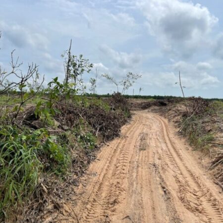 GIẢM KỊCH SẢN! Chỉ 450 triệu có 1000m2 đất Tân Bình – TX LaGi 2 mặt đường xe hơi sổ riêng GIẢM KỊCH SẢN! Chỉ 450 triệu có 1000m2 đất Tân Bình – TX LaGi 2 mặt đường xe hơi sổ riêng