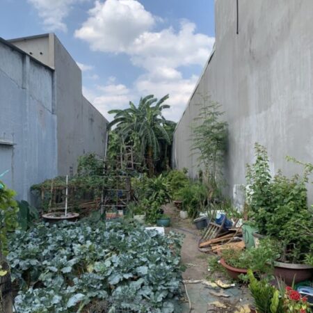 BÁN ĐẤT THỔ CƯ 220M2, VỊ TRÍ VÀNG PHẠM VĂN THUẬN – TAM HIỆP – BIÊN HÒA – 4.,2 TỶ – SỔ HỒNG