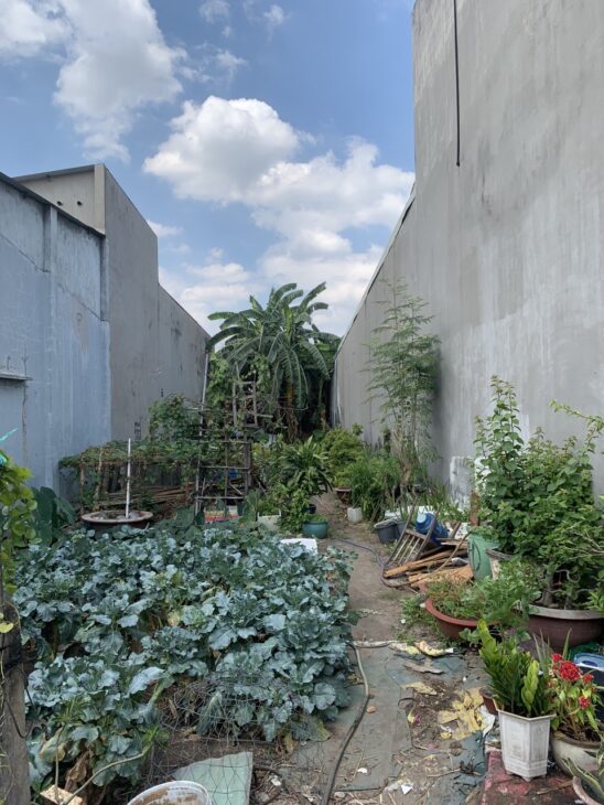 BÁN ĐẤT THỔ CƯ 220M2, VỊ TRÍ VÀNG PHẠM VĂN THUẬN – TAM HIỆP – BIÊN HÒA – 4.,2 TỶ – SỔ HỒNG