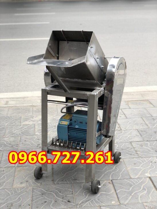 Máy xay nước đá cây ướp hải sản