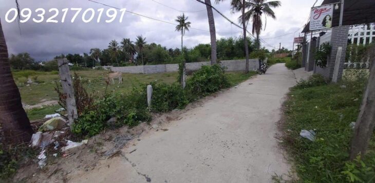 ĐẤT Ở XÃ CAM PHƯỚC ĐÔNG- TP CAM RANH – 145M2 – FULL THỔ CƯ – GIÁ 350 TRIỆU – Đường rộng 5m.