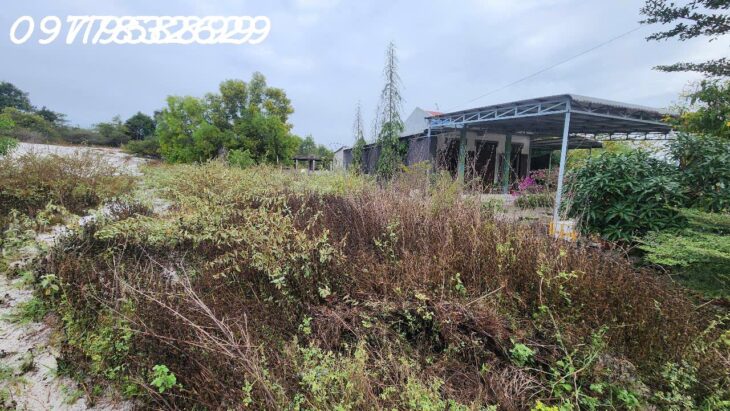 Bán 330m2 đất ONT Tân Phước – TX LaGi giá ngộp chỉ 950 triệu sổ hồng riêng