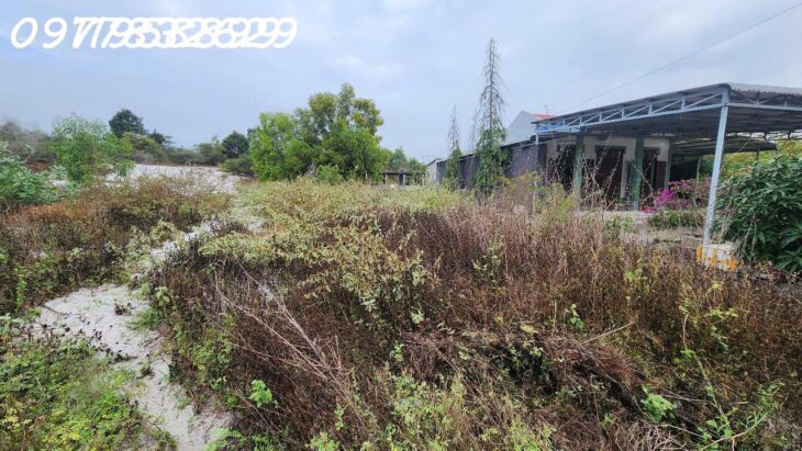 Bán 330m2 đất ONT Tân Phước – TX LaGi giá ngộp chỉ 950 triệu sổ hồng riêng