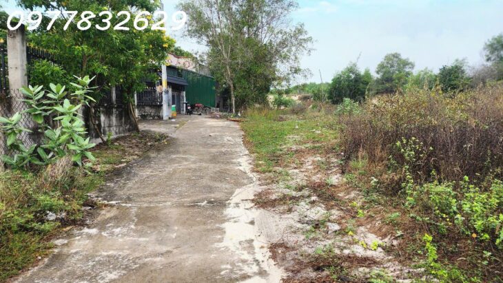 Bán 330m2 đất ONT Tân Phước – TX LaGi giá ngộp chỉ 950 triệu sổ hồng riêng