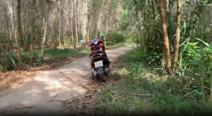 BÁN LÔ ĐẤT GẦN 5000M² – ĐẤT TRỒNG CÂY LÂU NĂM – CÓ SẴN CÂY TRÀM 3 NĂM TUỔI