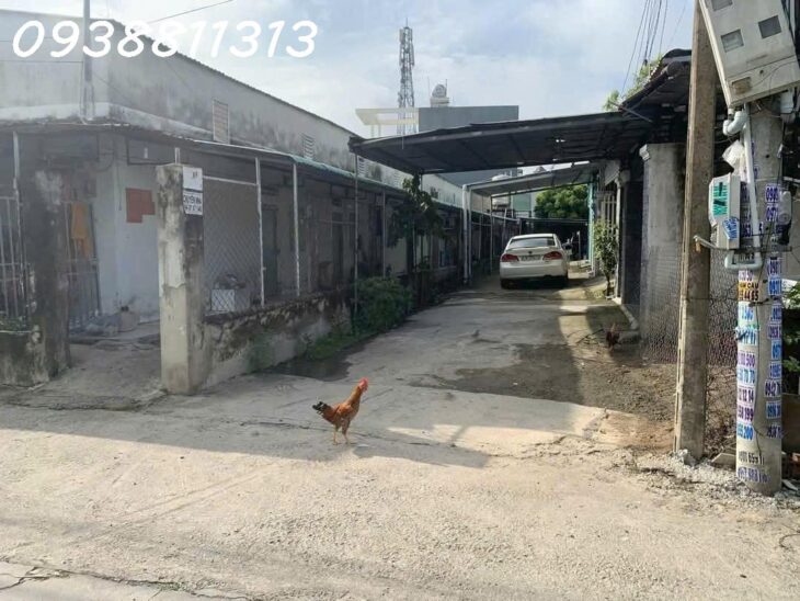 Bán đất hiệp thành, TDM, Bình Dương, (đôi diện trường việt Anh)