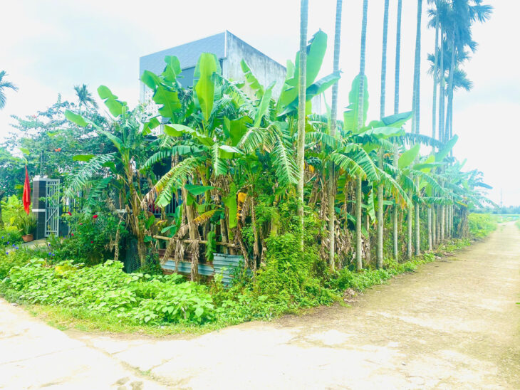 ĐẤT ĐẸP THANH AN, ĐIỆN HỒNG, ĐIỆN BÀN