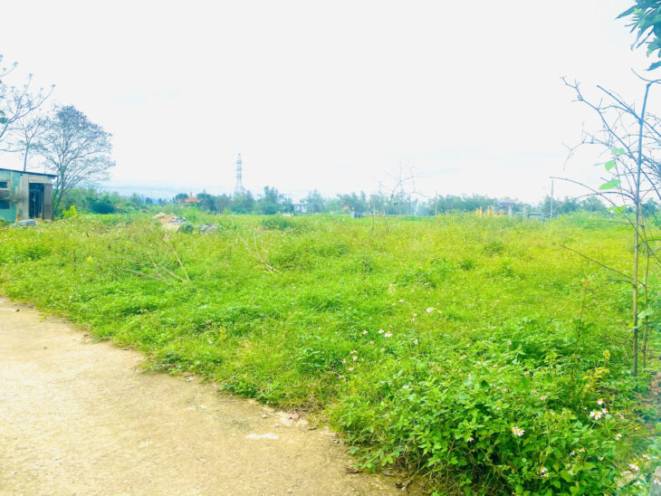 CƠ HỘI ĐẦU TƯ – ĐẤT ĐẸP VIEW HỒ CHÂU THỦY, ĐIỆN THỌ