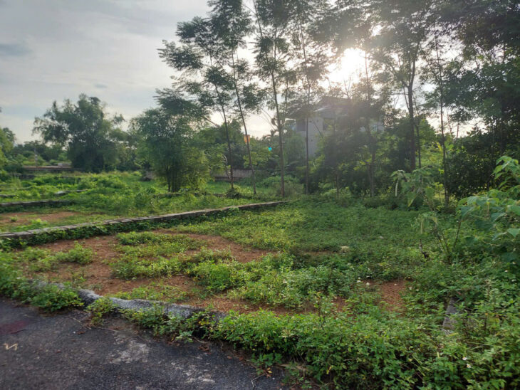 Cần bán gấp lô đất khu cánh chủ chỉ nhỉnh 2 tỷ