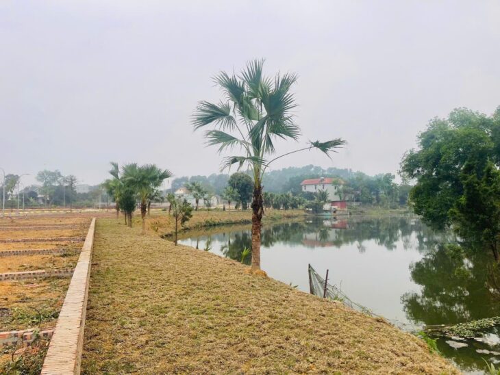 Bán lô siêu phẩm hàng hiếm Tân Phúc Sơn Đông view hồ view suối đường to ô tô tránh 65m nhỉnh 2tỷ