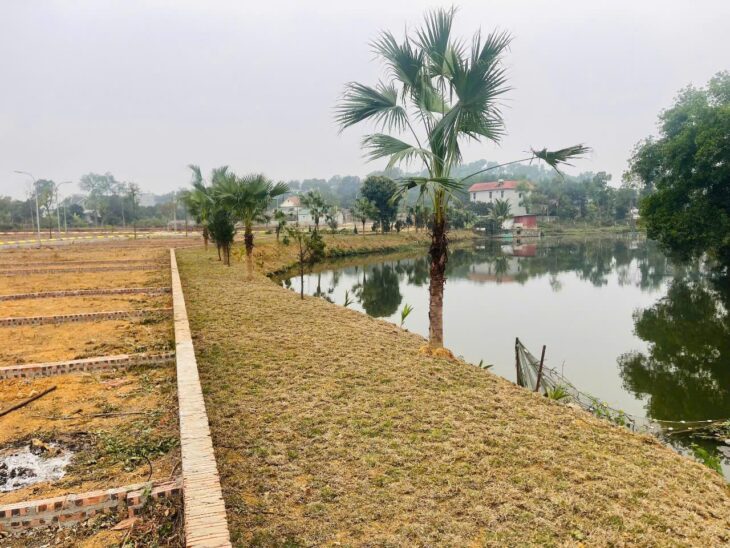 Bán lô siêu phẩm hàng hiếm Tân Phúc Sơn Đông view hồ view suối đường to ô tô tránh 65m nhỉnh 2tỷ