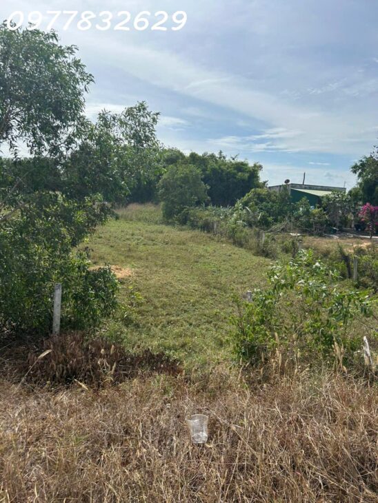 Bán đất mặt tiền Lê Quang Định – Tân Bình – TX LaGi cách Biển 1.5Km giá ngộp