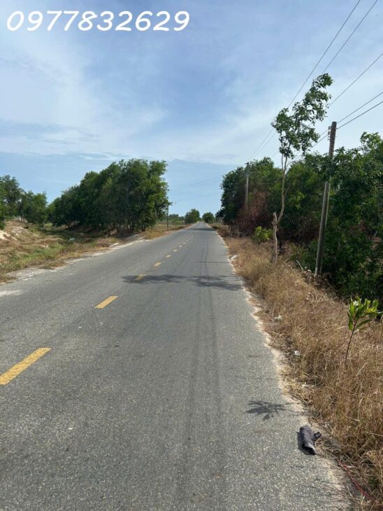 Bán đất mặt tiền Lê Quang Định – Tân Bình – TX LaGi cách Biển 1.5Km giá ngộp