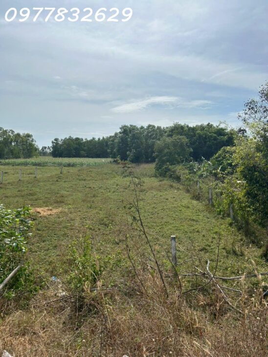 Bán đất mặt tiền Lê Quang Định – Tân Bình – TX LaGi cách Biển 1.5Km giá ngộp