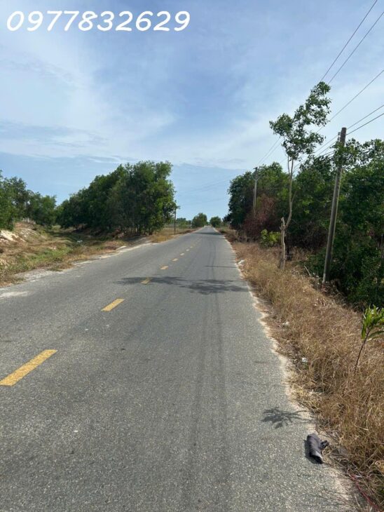 Bán đất mặt tiền Lê Quang Định – Tân Bình – TX LaGi cách Biển 1.5Km giá ngộp