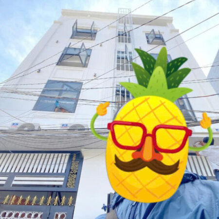 Nhà Đường Tân Kỳ Tân Quý, Phường Tân Quý, Quận Tân Phú, Giá 29 Tỷ, dt160m²