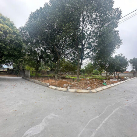 Đất nền Ba Hàng Đồi – Cơ hội đầu tư sinh lời nhanh