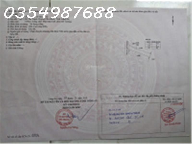 Nhanh tay sở hữu đất nền tại Tân Trạch, Cần Đước, Long An