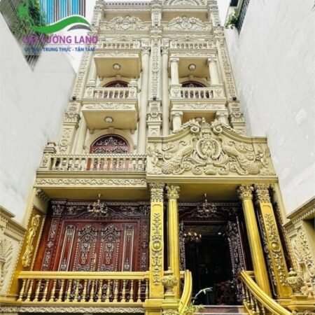 Biệt Thự DƯƠNG QUÃNG HÀM – Giáp Bình Thạnh, Đẳng Cấp Nội Thất Dát Vàng. Chủ Gấp bán, giảm 2/3 Giá