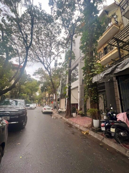 SIÊU PHẨM MP XUÂN QUỲNH, CẦU GIẤY 82M, 7T, MT 5M, VỈA HÈ, ÔTO TRÁNH, KD ĐỈNH, 42 TỶ. 0937651883.