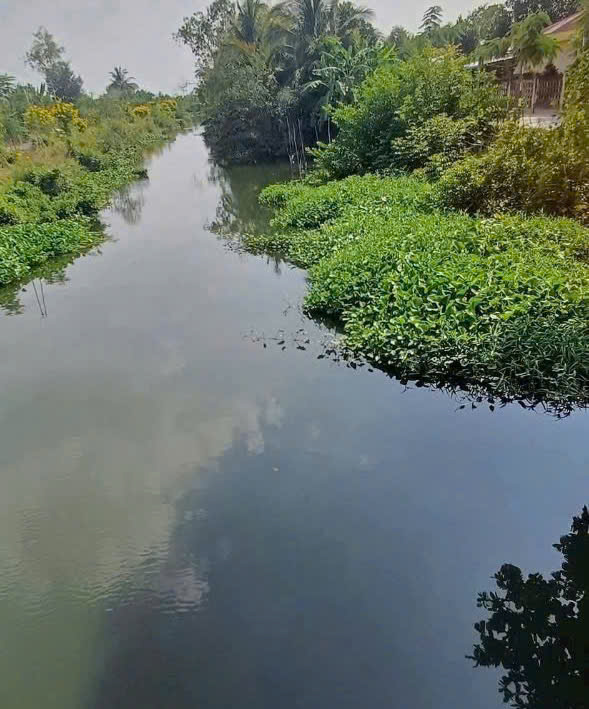 HÓT! HÓT! HÓT ! ĐẤT ĐẸP – GIÁ YÊU THƯƠNG – Vị Trí Tại : Hiệp Đức – Cai Lậy – Tiền Giang