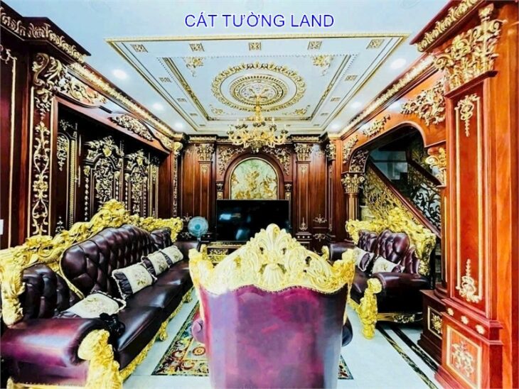 Biệt Thự DƯƠNG QUÃNG HÀM – Giáp Bình Thạnh, Đẳng Cấp Nội Thất Dát Vàng. Chủ Gấp bán, giảm 2/3 Giá
