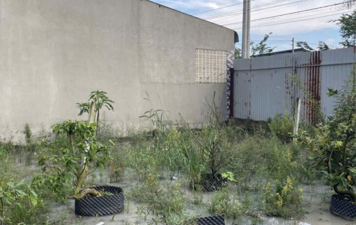 Cần bán đất với giá 600 triệu VND tại Xã Giang Điền, Trảng Bom, Đồng Nai, diện tích 115 m².